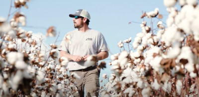 Seamless weed control in cotton and soybeans