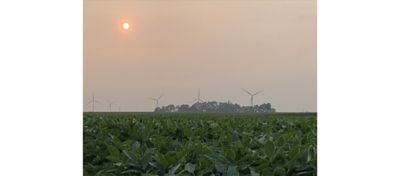 Is Smoke from Wildfires Affecting Crop Yields?