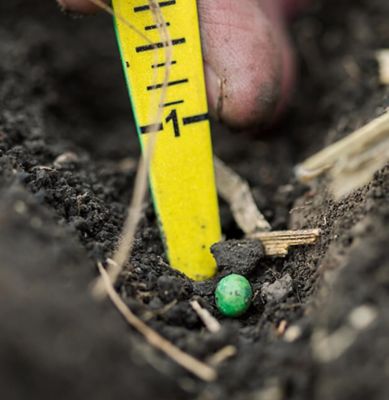 Tape measure in soil