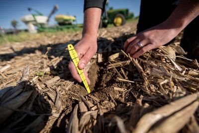 Photo - testing soil moisture