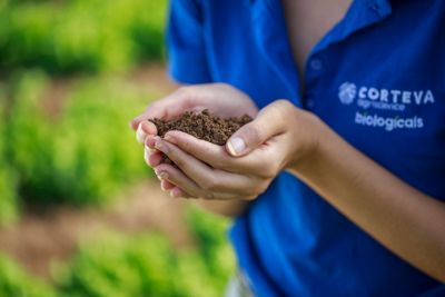 Soluções inovadoras inspiradas na natureza 