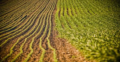 Sosdia Stress mitigator