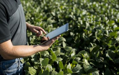 Leading Agronomy Insights