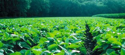 Find the Right Product for Every Acre