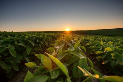 Find the Right Product for Every Acre