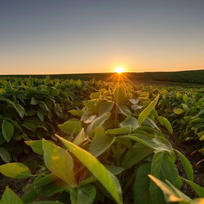 Missouri/Eastern Kansas Agronomy Podcast