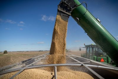 Reducing Harvest Losses in  Soybeans