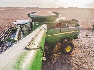 Soybean harvest