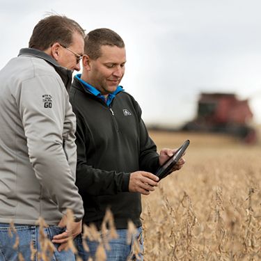 Soybean harvest, soybeans, soybean field