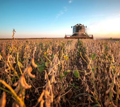 Soybean Harvest Beauty Shot