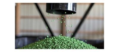 Soybean Cyst Nematode Populations Across Northern Iowa - 2023