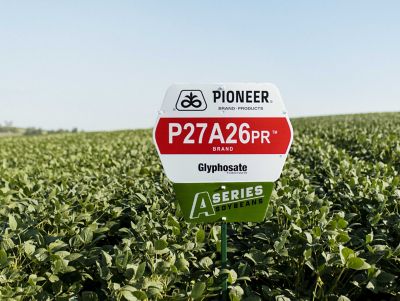 Pioneer® Brand A-Series Enlist E3® Soybeans