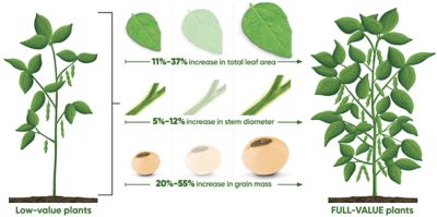 Moving to FULL-VALUE soybean plants.