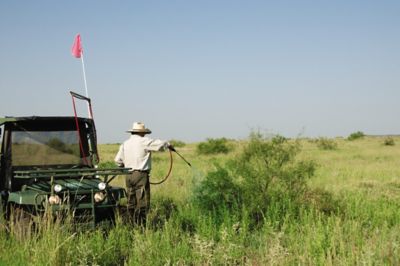 ground broadcast application of mesquite