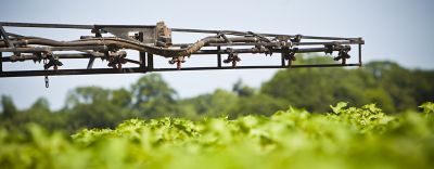 Sprayer in cotton field