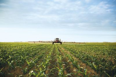 Sprayer in early corn