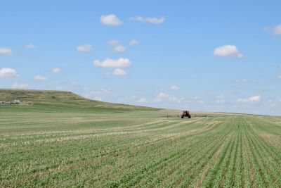 sprayer in cereal grains field