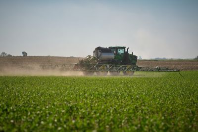 Sprayer in corn field
