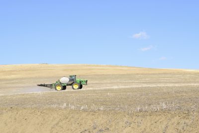 spraying wheat in dry soil