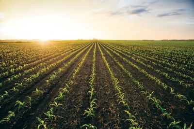 NEXTA PRODUCT CATALOG