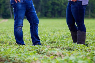 walking through soybean field