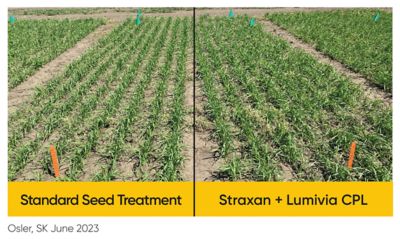 Osler SK comparison - Straxan