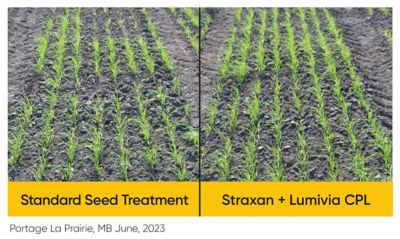 Portage la Prarie comparison - Straxan