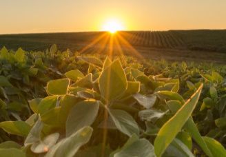 Lever du soleil sur des champs cultivés s’étendant à l’horizon