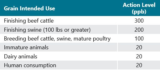 Table - FDA action levels for aflatoxin contaminated corn.