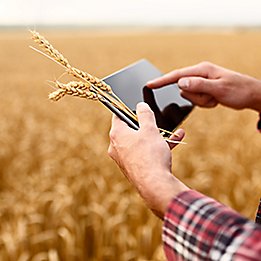 farmer holding tablet in wheat field