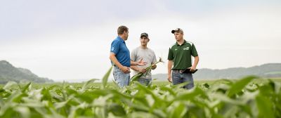 men standing in soybean field