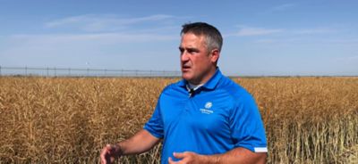 Hitting yield targets on farm with GLY - Mark Kuchuran