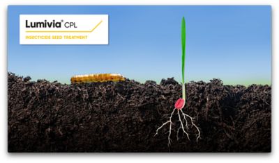 Lumivia CPL Southern video