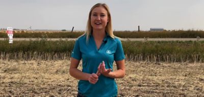 Optimum GLY gives growers options - Alex Shuttleworth