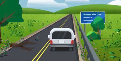 VM animated infographic American roadways