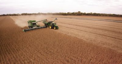 harvesting soybeans