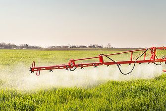Tractor spraying wheat field