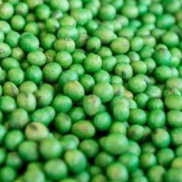 treated soybean seeds