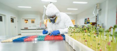 Pessoa vestindo EPI no laboratório de Tratamento de Sementes Industrial da Corteva Agriscience, analisando sementes de soja
