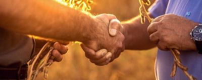 farmers shaking hands