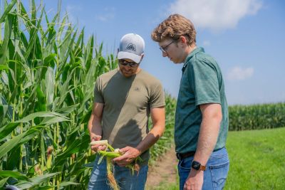 Managing Corn for Greater Yield Potential