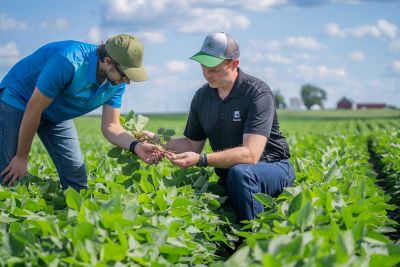 Find Your Local Team