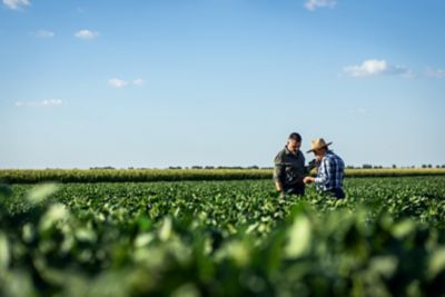 two men standing in a field of soybeans