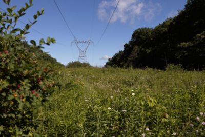 Utility ROW tower in background