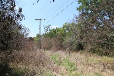 brush and powerlines