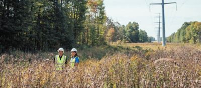 Utility employees scouting a row
