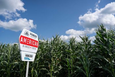 Vorceed Enlist corn field sign
