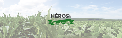 yield hero banner