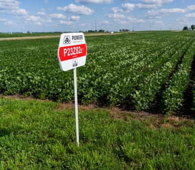 Pioneer® Brand Enlist E3® Soybeans