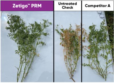 Zetigo PRM Comparison image